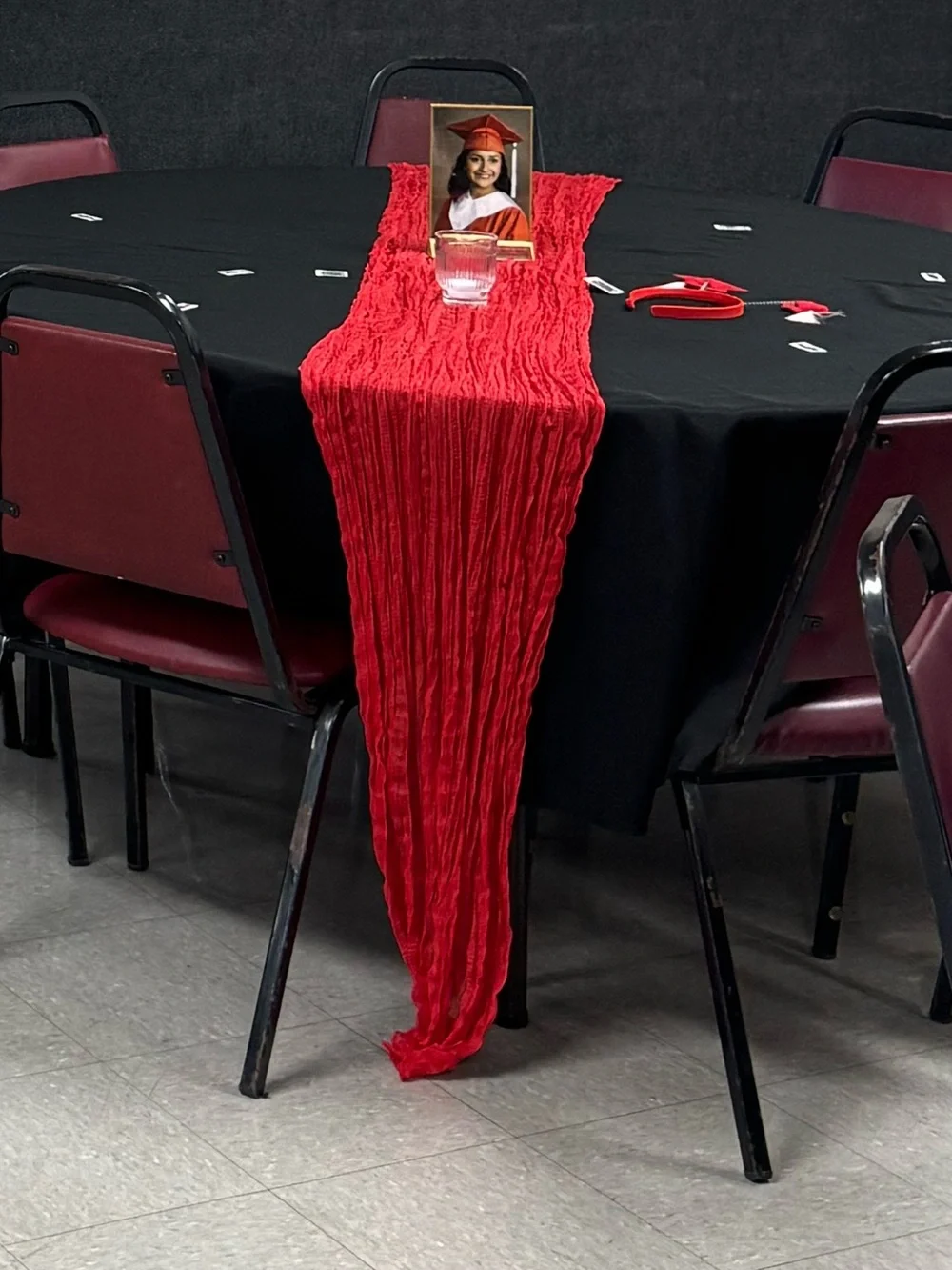 Red Cheesecloths - 20 Pack
